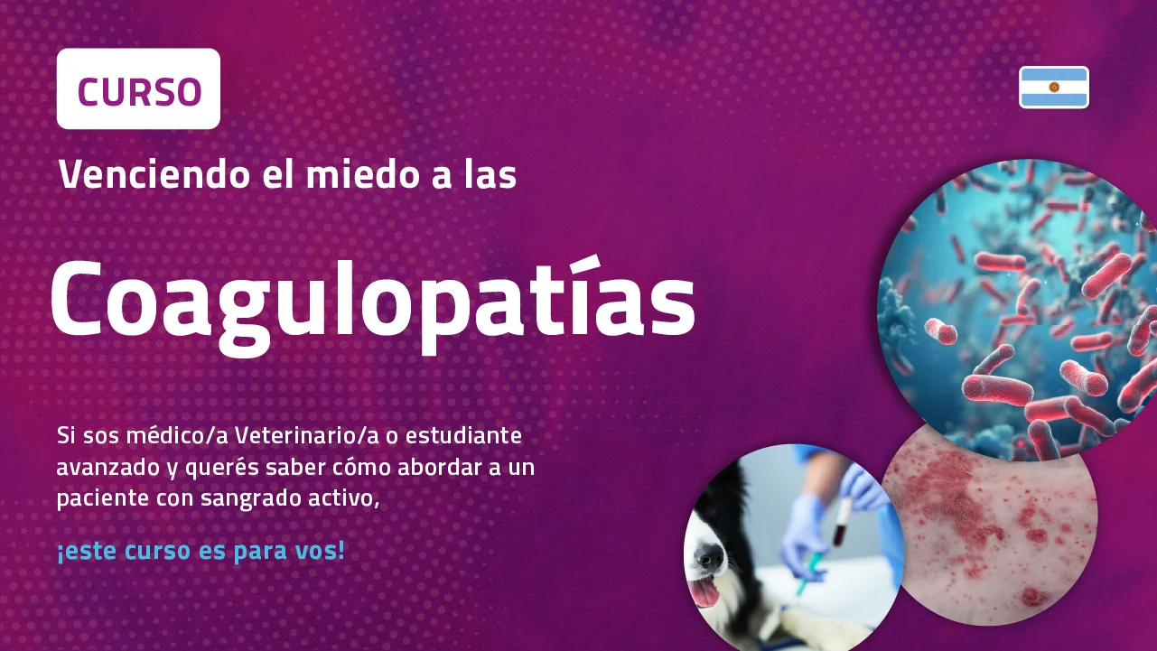 Venciendo el miedo a las COAGULOPATÍAS