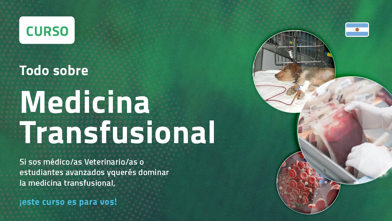Todo sobre MEDICINA TRANSFUSIONAL